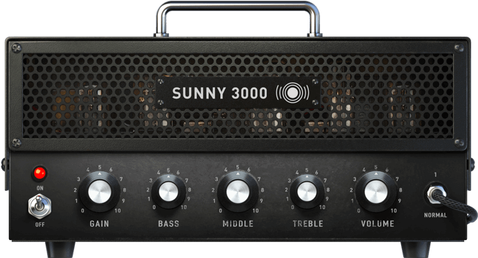 Sunny 3000, inspired by Sunn 300T